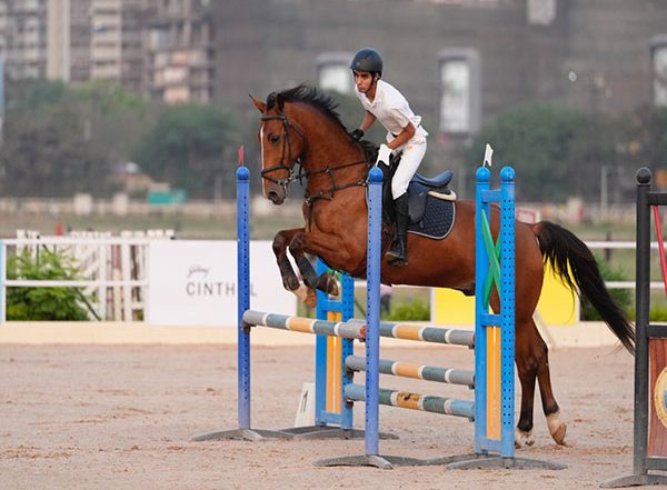 Sports News | Mumbai Horse Show 2024: Zrey Dodhy Clinches Gold on Day-2