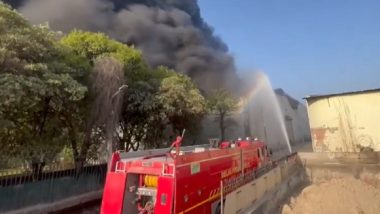 Delhi Fire: Massive Blaze Erupts at Factory in Alipur, Firefighting Operation Underway; Videos Show Clouds of Smoke and Raging Flames