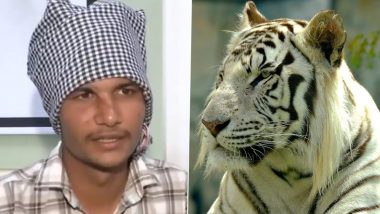 Tiger Attack in Ramnagar: Doctors Treat Brave Boy Who Survived Mauling by Pulling Big Cat's Tongue in Uttarakhand (Watch Video)