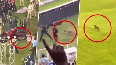 Dog Braving Kicks Dribbles Past Stadium Security to Enter Field of Play During GT vs MI IPL 2024 Match, Video Goes Viral!