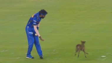 Dog Interrupts Play During GT vs MI IPL 2024 Match at Ahmedabad's Narendra Modi Stadium, Videos Go Viral