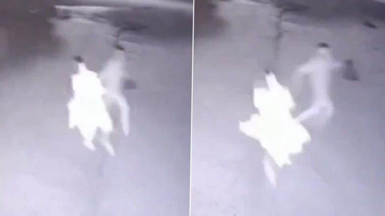 Snatching Caught on Camera in Bihar: Miscreant Chases Foreign Woman Tourist, Snatches Her Purse in Gaya; Disturbing Video Surfaces
