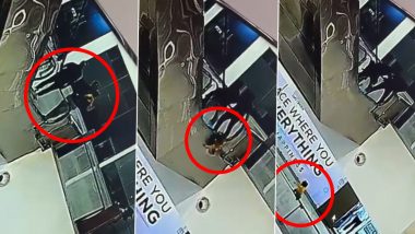 Chhattisgarh: Toddler Slips From Father’s Arms While Climbing Escalator in Raipur City Centre Mall, Falls to Death; Disturbing Video Surfaces