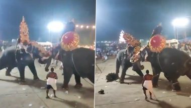 Elephant Attack in Kerala: Chaos Ensues As Two Tuskers Attack Each Other During Arattupuzha Pooram Ritual at Mandarakadavu (Watch Video)