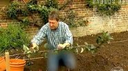 North Korea Censors British Gardening Show Host Alan Titchmarsh's Jeans to Hide ‘Symbol of Western Imperialism’ (Watch Video)