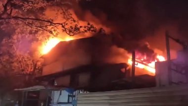 Daman Fire: Blaze Erupts in Plastic Factory, Seven Fire Tenders Rushed to Spot (Watch Video)