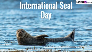 International Seal Day 2024 Date, History and Significance: Everything To Know About the Impact of Climate Change on Seals