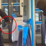London Shocker: Teenager Allegedly Stabs Man on Moving Train Near Beckenham, Arrested on Suspicion of Attempted Murder After Disturbing Video Goes Viral