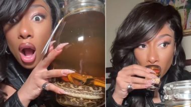 Megan Thee Stallion Drinks Alcohol From Live Snake-Filled Bottle in Japan, Rapper's TikTok Video Goes Viral - WATCH
