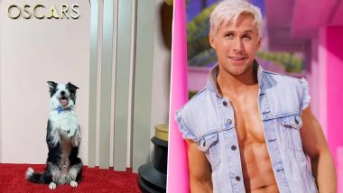Oscars 2024: Anatomy of a Fall's Messi The Dog 'Claps' for Robert Downey Jr's Win and Turns Viral Sensation, Even Ryan Gosling is Amused! (Watch Video)
