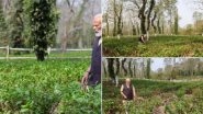 PM Modi in Assam: Prime Minister Narendra Modi Spends Time at Tea Garden in Assam, Promotes Tourism around It (See Pics)