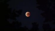 Chandra Grahan or Lunar Eclipse 2024 Live Streaming Online: Everything You Need to Know About the March 25 Penumbral Lunar Eclipse Date, Time and Visibility in India