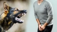 Ban on Pet Dog Breeds: Centre Directs States To Ban 23 Breeds of Ferocious Dogs, Including Pitbull Terrier, American Bulldog, Rottweiler and Mastiffs