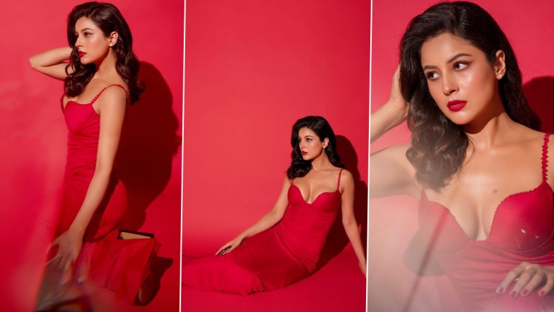 Shehnaaz Gill Steals the Spotlight in a Fabulously Chic Vibrant Pink Bodycon Dress, Exudes Confidence and Style! (View Pics)