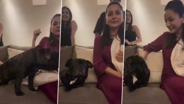 Shehnaaz Gill Adorably Screams ‘Mumma’ As She Gets Scared of a Dog, Here’s What Happened Next (Watch Video)