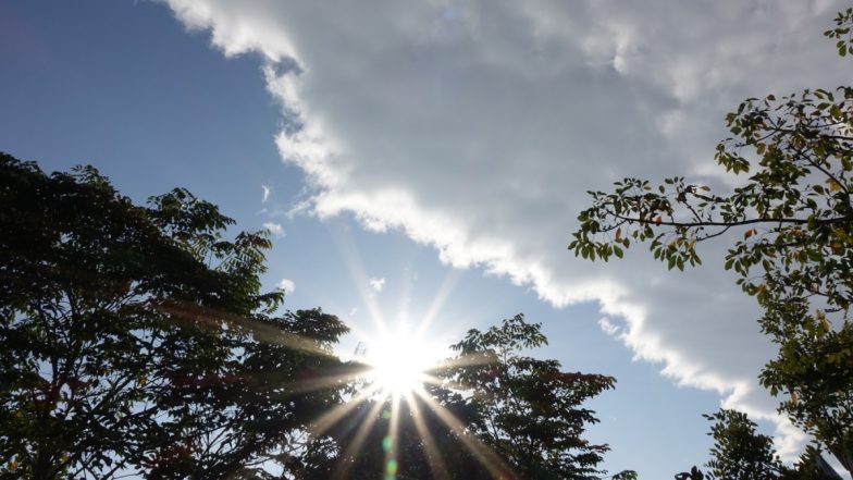 Holi 2024 Weather Forecast Update: Climate Change Increasing Chances of Temperatures Reaching 40 Deg C on Holi, Analysis