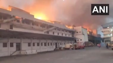 Telangana Fire: Massive Blaze Erupts at Ravi Foods in Rangareddy’s Katedan Industrial Area, No Casualties Reported (Watch Video)