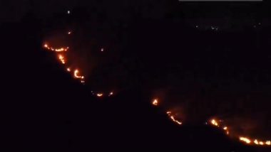 Tamil Nadu Fire: Forest Fire Breaks Out at Madakkulam Sri Kabaleeswari Amman Temple Hill in Madurai Due to Intense Heat Wave (Watch Video)