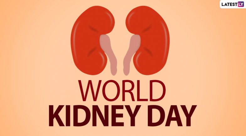 World Kidney Day 2024 Date, Theme and Origin: Know the Significance of ...