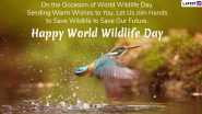 World Wildlife Day 2024 Images & HD Wallpapers for Free Download Online: Quotes and Messages To Share and Celebrate the Day With Conservation and Compassion