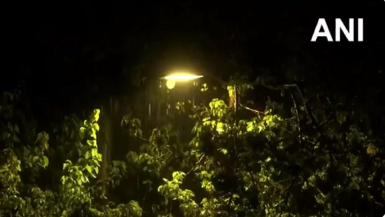 Delhi Weather Update: Rain Lashes Parts of National Capital, More Showers Expected Today (Watch Video)
