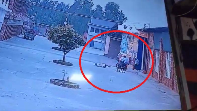 Baba Tarsem Singh Shot Dead: Nanakmatta Sahib Gurdwara Chief Killed by Two Bike-Borne Assailants in Uttarakhand's Udham Singh Nagar, Murder Video Surfaces