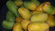 Best Fruits To Eat During Spring Season in India: Top 5 Fruits You Should Eat This Mango Season