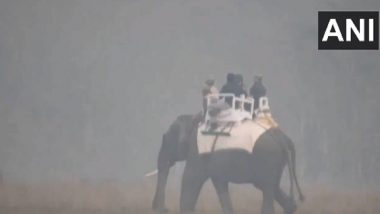 PM Modi in Assam: Prime Minister Narendra Modi Takes Elephant Ride at Kaziranga National Park (Watch Video)