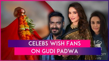 Gudi Padwa 2024: Madhuri Dixit To Preity Zinta, Celebs Wish Fans On The Auspicious Occasion