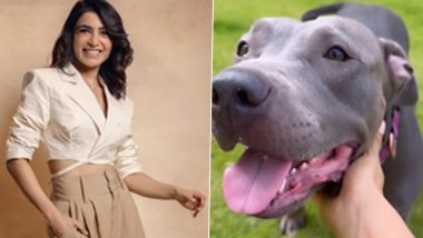 Samantha Ruth Prabhu Embraces the Morning Sun With Her Furry Friend, Asks ‘What Are You Doing Saasha?’ (View Pic)
