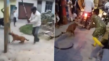 Lucknow Horror: Pregnant Dog Brutally Thrashed, Tied to Barb Wire and Dragged by Motorcycle; Two Accused Arrested After Disturbing Video Goes Viral
