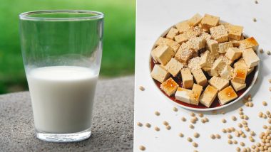 From Milk to Tofu, 5 Best Foods To Increase Calcium Intake and Improve Overall Bone Health
