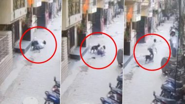 Pitbull Attack in Ghaziabad: 15-Year-Old Boy Mauled By Neighbour’s Pet Dog in Uttar Pradesh, Horrifying Video Surfaces