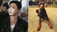 BTS&rsquo; Jungkook Returns to Instagram Amidst Mandatory Military Enlistment, Opens Account for His Pet Dog Bam