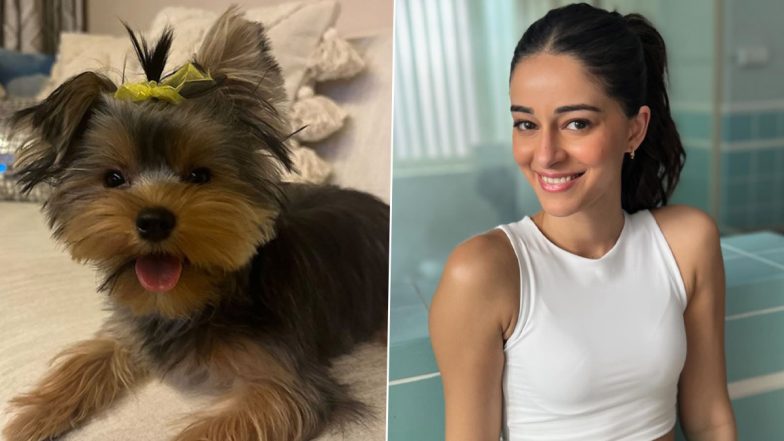 Ananya Panday Misses Her ‘Godson’ Pablo; Actress Asks Shanaya Kapoor To Send Him for ‘Sleepover’ (See Pic)
