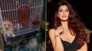 Jacqueline Fernandez Takes Stand Against 'Cruel' Animal Breeding Industry, Urges Fans to Adopt Pets