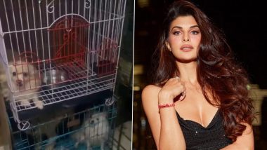 Jacqueline Fernandez Takes Stand Against 'Cruel' Animal Breeding Industry, Urges Fans to Adopt Pets