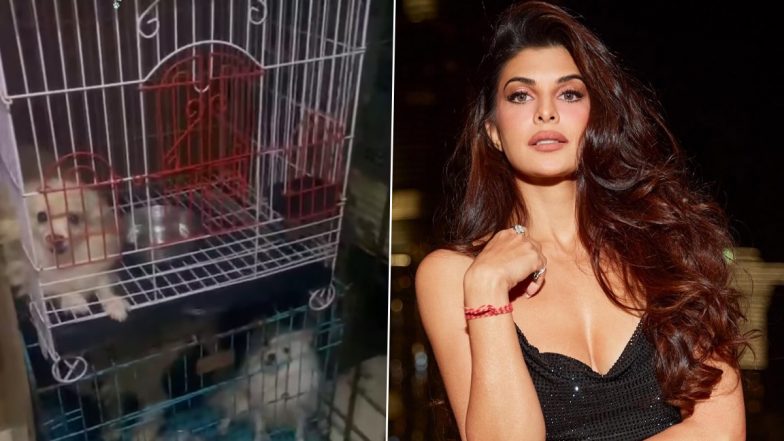 Jacqueline Fernandez Takes Stand Against ‘Cruel’ Animal Breeding Industry, Urges Fans to Adopt Pets