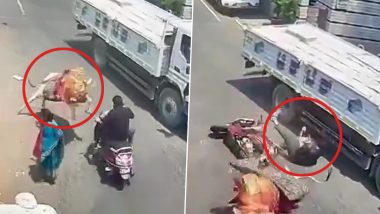 Bengaluru Bull Attack Video: Man Narrowly Escapes Being Crushed by Truck After Bull Suddenly Hits His Scooty in Mahalakshmi Layout, Terrifying Incident Caught on Camera
