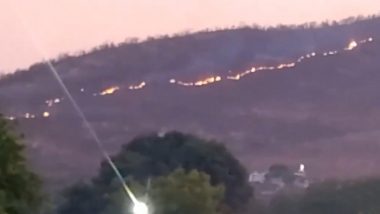 Wildfire in Andhra Pradesh: Blaze Erupts in Somashila Forest Area in Nellore (Watch Video)