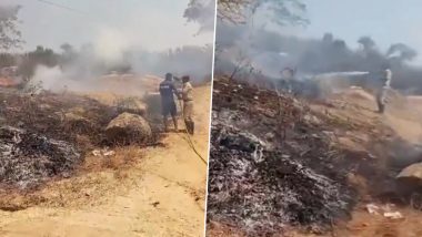 Karnataka Fire Video: Massive Blaze Destroys Sugarcane Fields in Mandya, Firefighters Rush to Scene