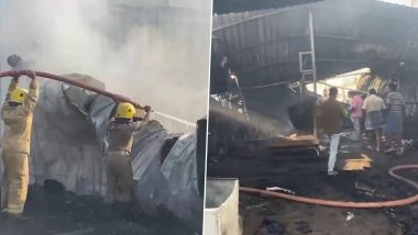 Tamil Nadu Fire Video: Blaze Erupts at Cotton Godown in Coimbatore's Edayarpalayam, Firefighters Rush to Scene