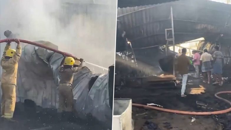 Tamil Nadu Fire Video: Blaze Erupts at Cotton Godown in Coimbatore's Edayarpalayam, Firefighters Rush to Scene