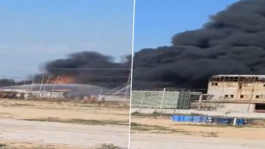 Punjab Fire: Massive Blaze Erupts at Chemical Factory in SAS Nagar, Fire Tenders Reach Spot (Watch Video)