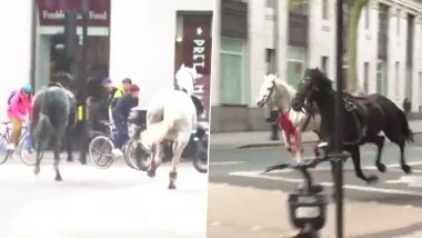 UK: Two Horses, One Covered in Blood, Run Loose Through Central London; Video Surfaces