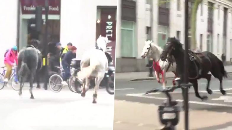 UK: Two Horses, One Covered in Blood, Run Loose Through Central London; Video Surfaces