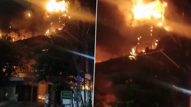 Noida Fire Video: Massive Blaze Engulfs Building in Sector 65, Firefighters Rushed to Scene