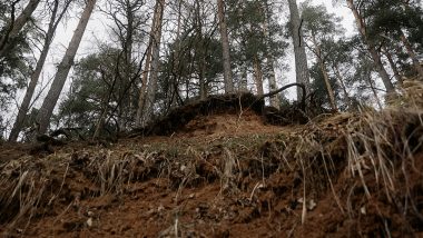 Landslide in Indonesia: 14 Dead, Another Missing After Torrential Rains Trigger Landslides in Sulawesi Island