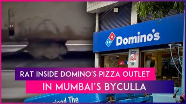 'Disgusting' Video Of Rat Inside Domino's Pizza Outlet In Mumbai’s Byculla Goes Viral