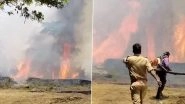 Wayanad Fire: Massive Fire Breaks Out in Forest Area in Kerala, No Casualties Reported (Watch Video)